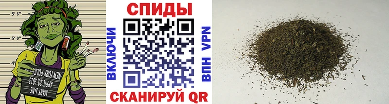 это телеграм  Пушкино  Бутират оксана  закладки 