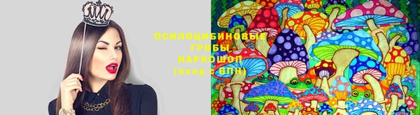 гидропоника Каменка