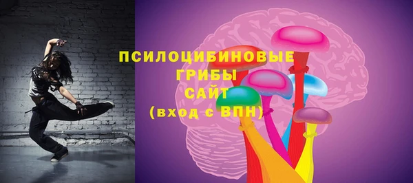 а пвп мука Инта