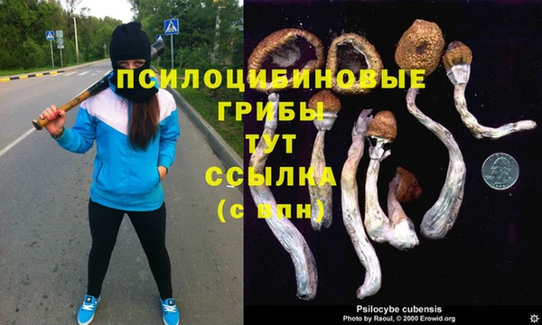 спайс Иннополис