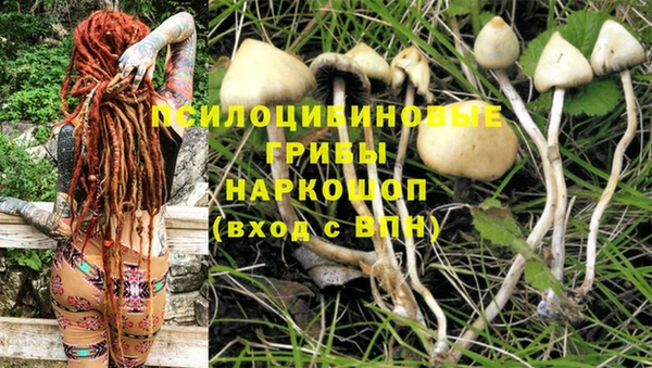 jwh Инсар
