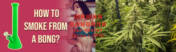 PSILOCYBIN Алзамай