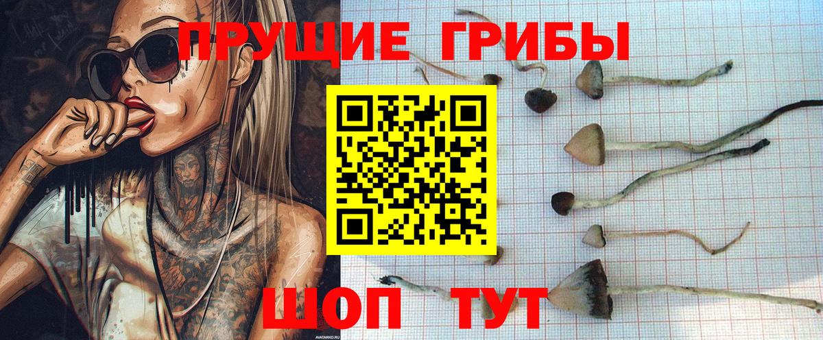Галлюциногенные грибы ЛСД Пушкино