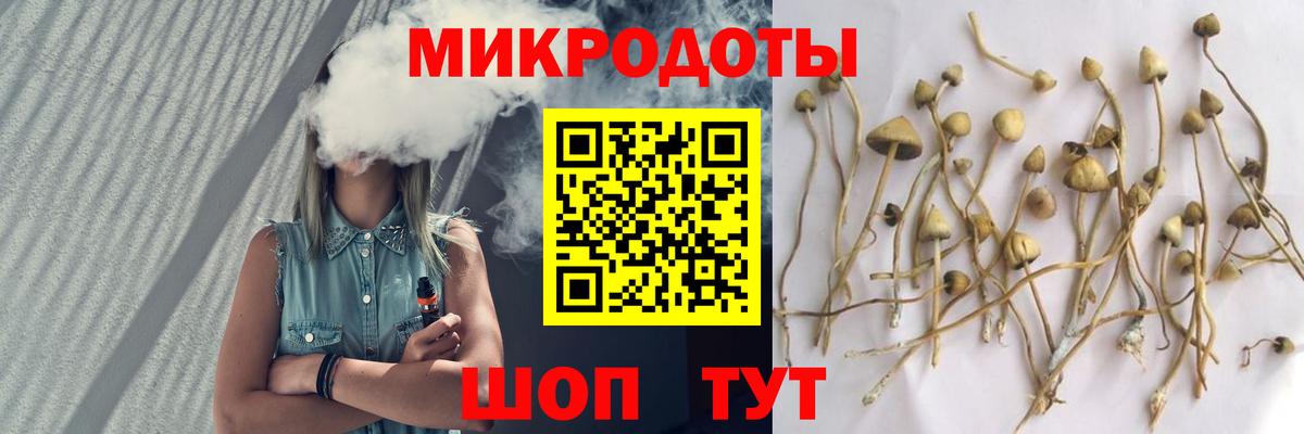 Галлюциногенные грибы Psilocybe  Псилоцибиновые грибы GOLDEN TEACHER  Вход с VPN  Пушкино 